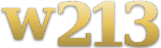 w213 logo